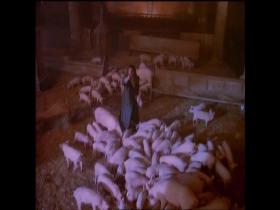 Ozzy Osbourne Miracle Man